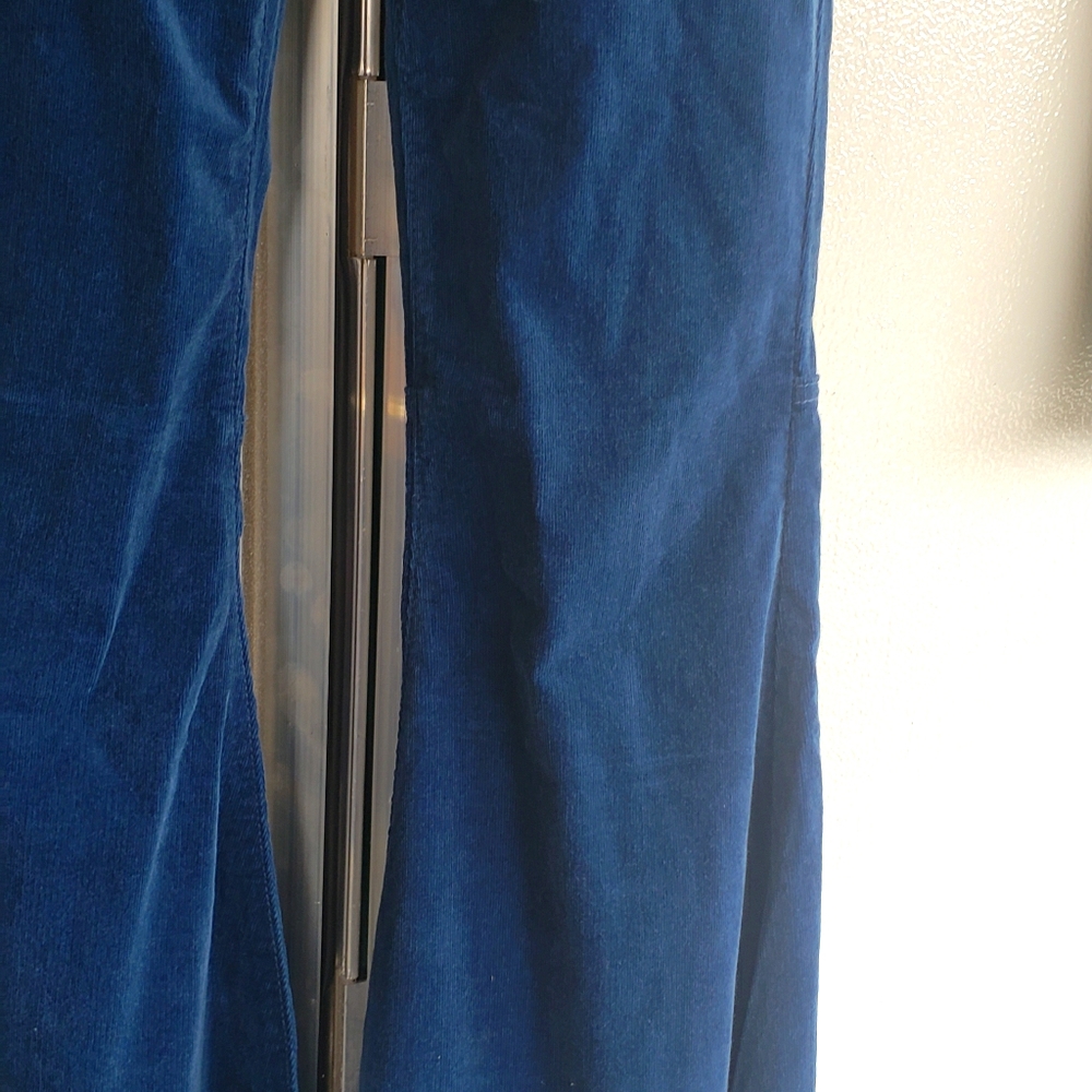 Thin, velvet to the touch corduroy bell bottoms